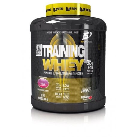 IRON SUPPLEMENTS NEW TRAINING WHEY 2 KG